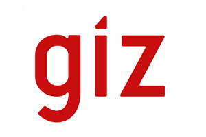 Giz